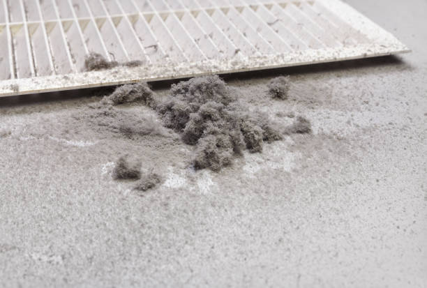 Best Commercial Air Duct Cleaning  in Lockhart, TX