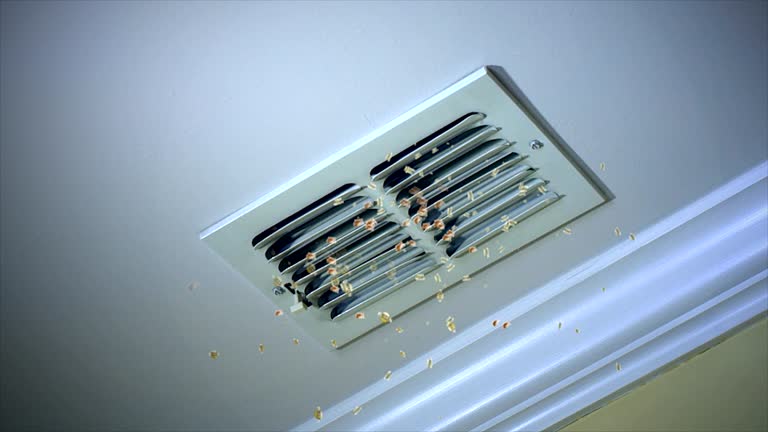Best Affordable HVAC Duct Cleaning  in Lockhart, TX