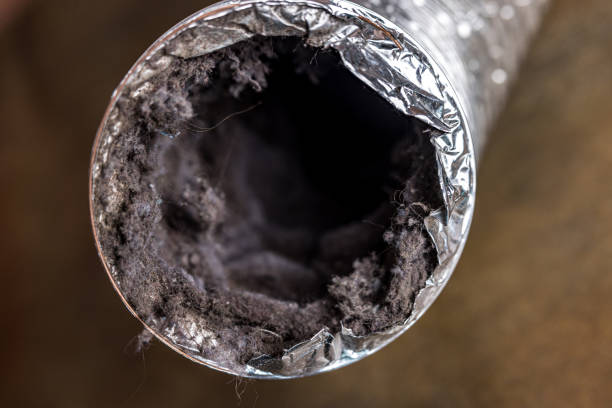 Best Home Air Vent Cleaning  in Lockhart, TX